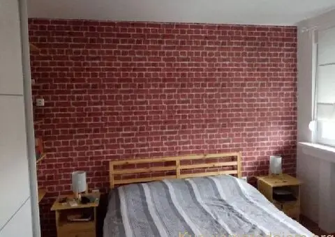 Molerski radovi-lepljenje tapeta-Beograd - 2/5