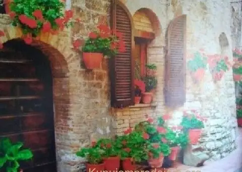 Molerski radovi-lepljenje tapeta-Beograd - 5/5