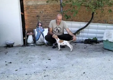 Prodaja Poentera - 2/5