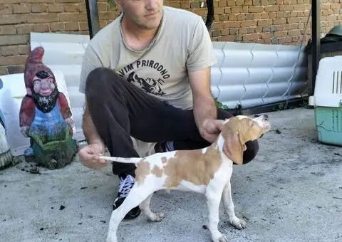 Prodaja Poentera - 3/5