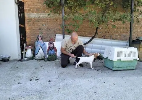 Prodaja Poentera - 4/5