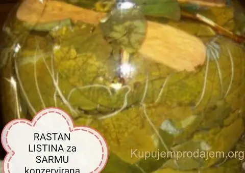 Rastan - Listina - 1/4