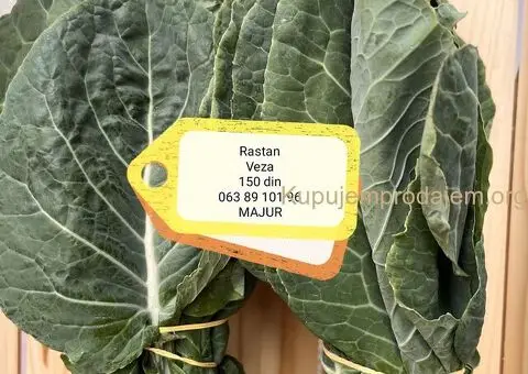 Rastan - Listina - 4/4