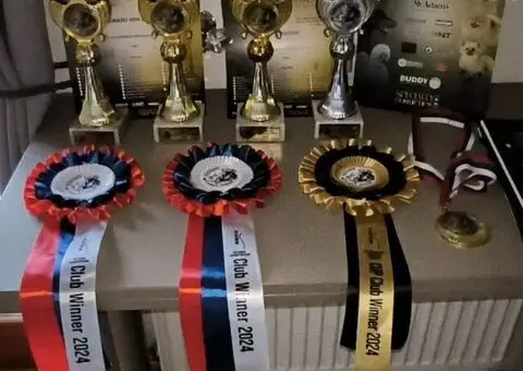 Veliki Crni Snaucer - 4/5