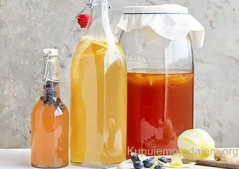 Čajna Gljiva Kombuha - starter - 3/3