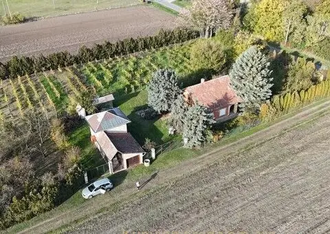 Bio salaš/bio gazdinstvo u okolini Subotice - 1/5