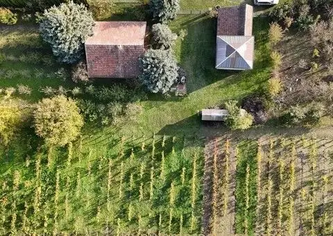 Bio salaš/bio gazdinstvo u okolini Subotice - 2/5