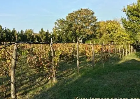 Bio salaš/bio gazdinstvo u okolini Subotice - 3/5