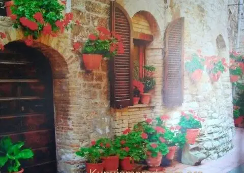 Lepljenje tapeta & Molerski radovi - 3/5