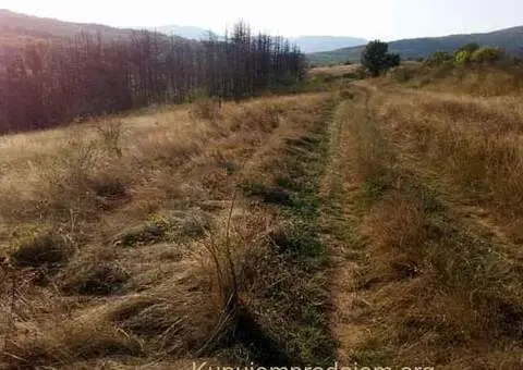 Stara planina seosko imanje na prodaju - 4/7