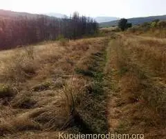 Stara planina seosko imanje na prodaju