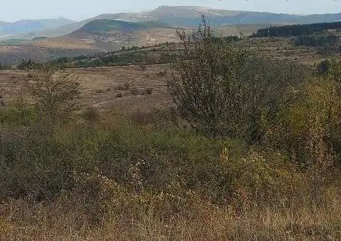 Stara planina seosko imanje na prodaju - 7/7