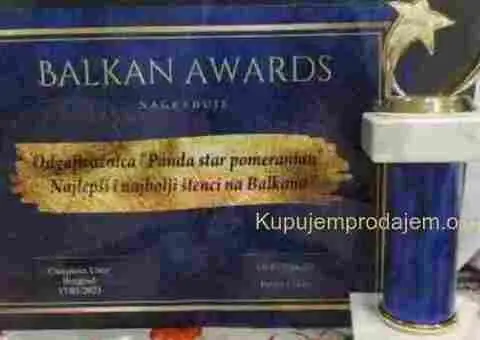 Prelepi pomeranci BOO-a - 5/5