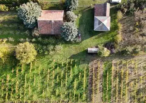 Bio Salaš blizu Subotice - 2/5