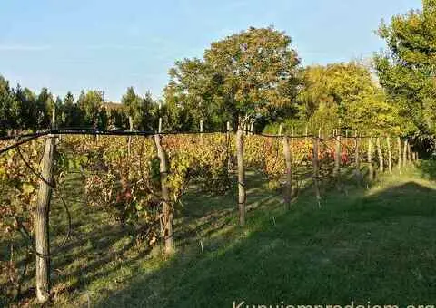 Bio Salaš blizu Subotice - 3/5