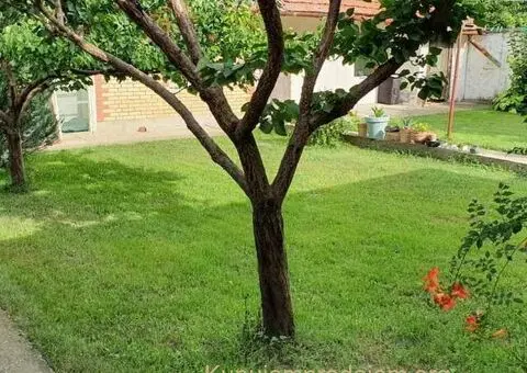 Smeštaj za radnike - Zrenjanin - 6/10