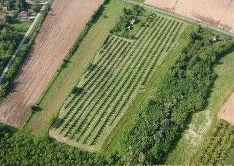Imanje sa plantazom lesnika-sabac