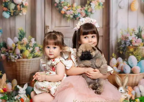 CHOW CHOW stenci - 3/10