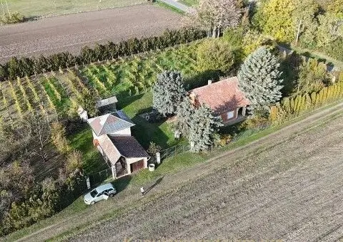 Bio Salaš blizu Subotice - 1/5