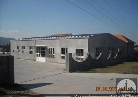 Izdajem halu-Nis - 1/5