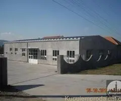 Izdajem halu-Nis