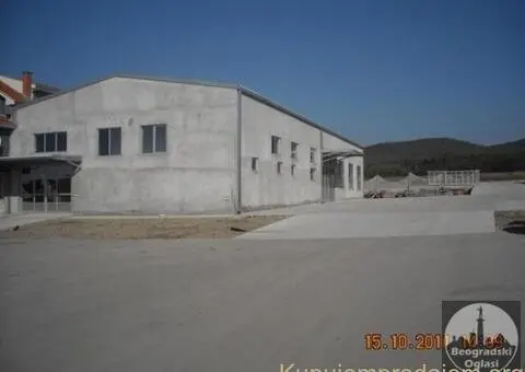 Izdajem halu-Nis - 4/5