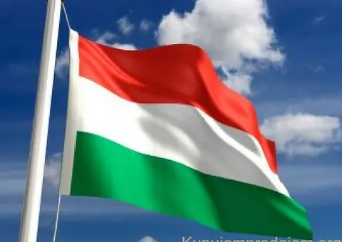 Online i uživo časovi mađarskog jezika