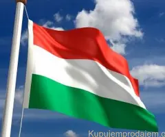 Online i uživo časovi mađarskog jezika