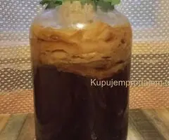 Prodajem KOMBUHU