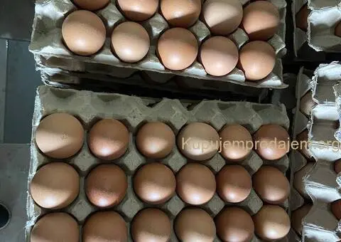 Kokoske nosilje - 3/3