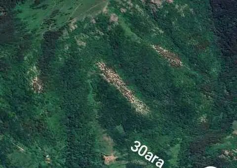 Stara planina placevi - 3/6