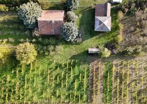 Bio Salaš blizu Subotice - 2/5