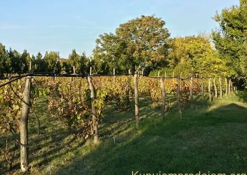 Bio Salaš blizu Subotice - 3/5