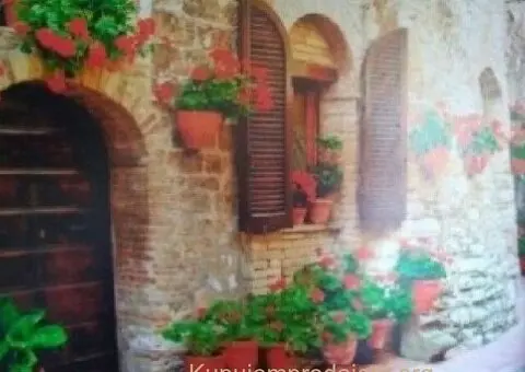 Molerski radovi-lepljenje tapeta-Beograd - 5/5