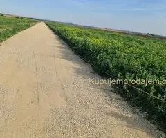 Plac 5 ari u Batajnici