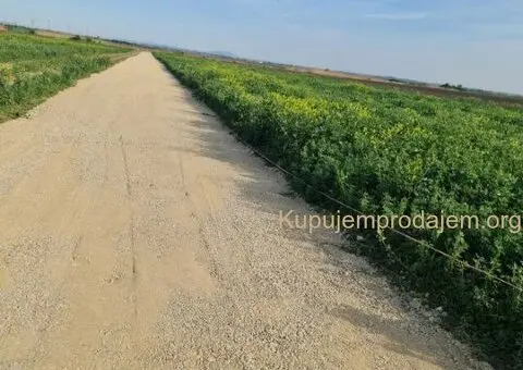 Plac 5 ari u Batajnici - 4/6