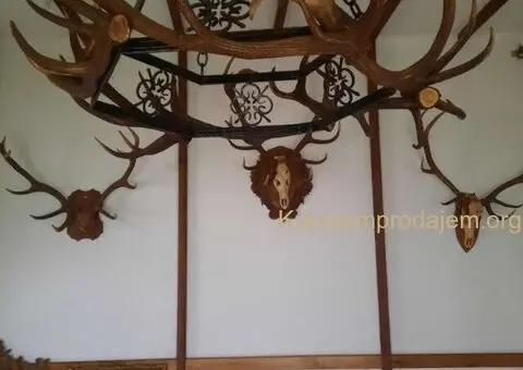 Šank, vitrina, rashladna vitrina i luster - 1/4