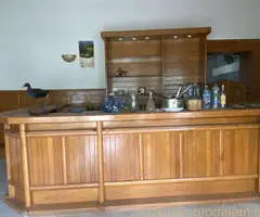 Šank, vitrina, rashladna vitrina i luster