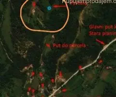 Gradjevinsko zemljiste u selu Crni Vrh na Babinom Zubu