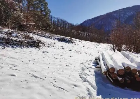 Gradjevinsko zemljiste u selu Crni Vrh na Babinom Zubu - 5/9