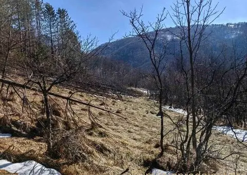 Gradjevinsko zemljiste u selu Crni Vrh na Babinom Zubu - 6/9