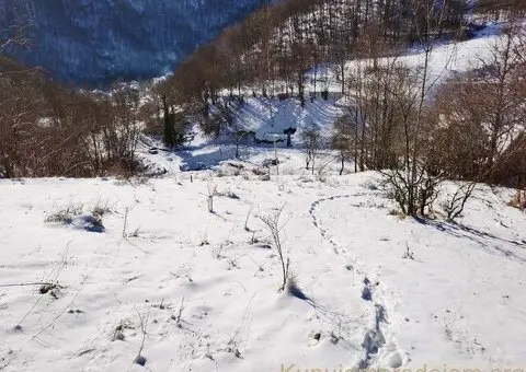 Gradjevinsko zemljiste u selu Crni Vrh na Babinom Zubu - 7/9