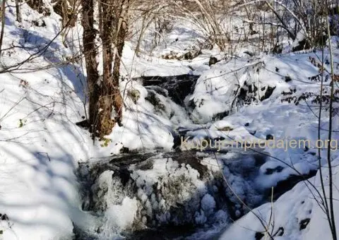 Gradjevinsko zemljiste u selu Crni Vrh na Babinom Zubu - 9/9