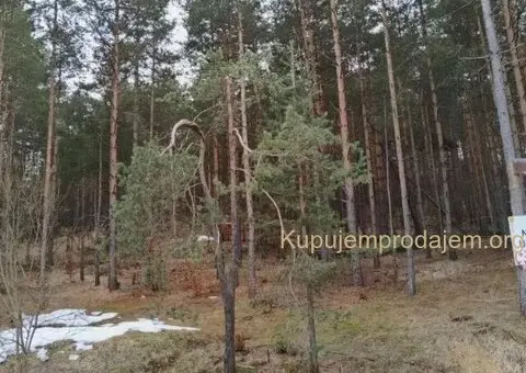 Plac na prodaju Zlatibor-Vodice - 1/10