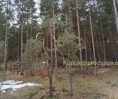 Plac na prodaju Zlatibor-Vodice
