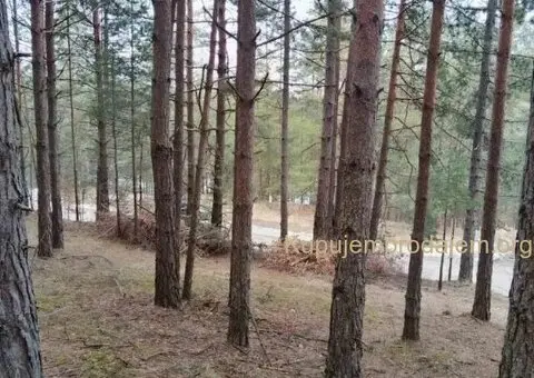 Plac na prodaju Zlatibor-Vodice - 2/10