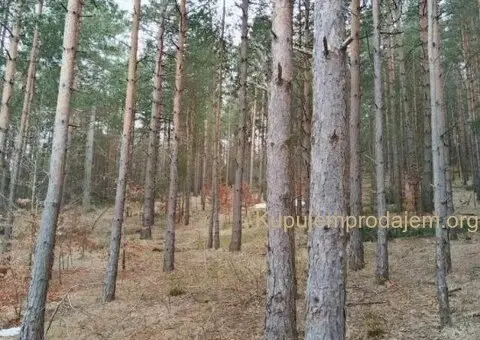 Plac na prodaju Zlatibor-Vodice - 3/10