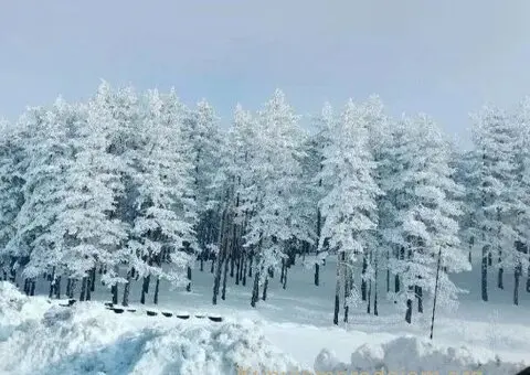 Plac na prodaju Zlatibor-Vodice - 4/10