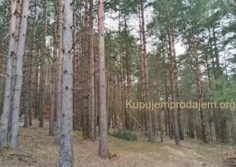 Plac na prodaju Zlatibor-Vodice - 5/10