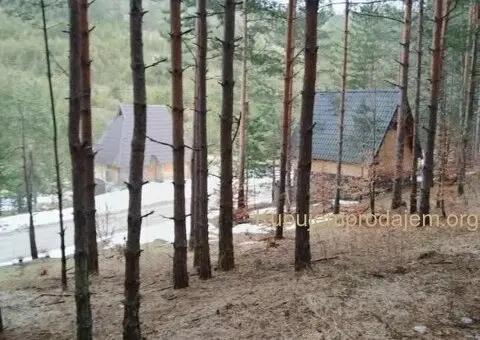 Plac na prodaju Zlatibor-Vodice - 6/10